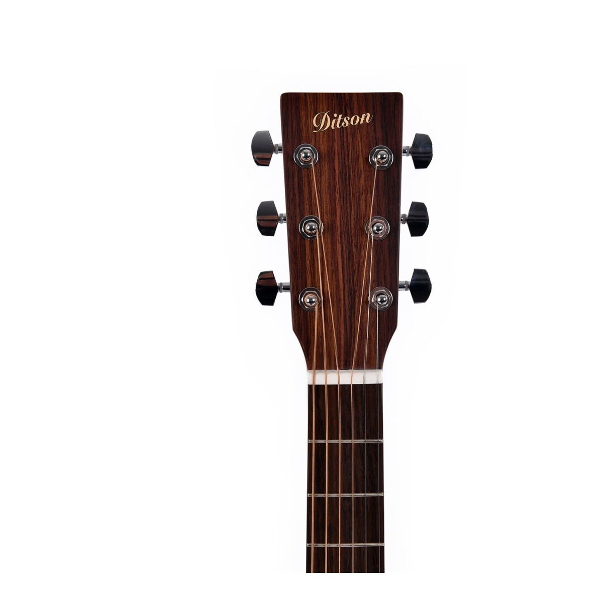 Ditson D-10