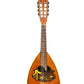 Alte Mandoline (22-Teilig)
