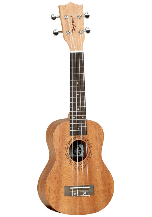 Tanglewood TWT-1